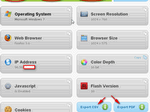 Support Details options to email you details on remote computer settings including IP address and Operating system